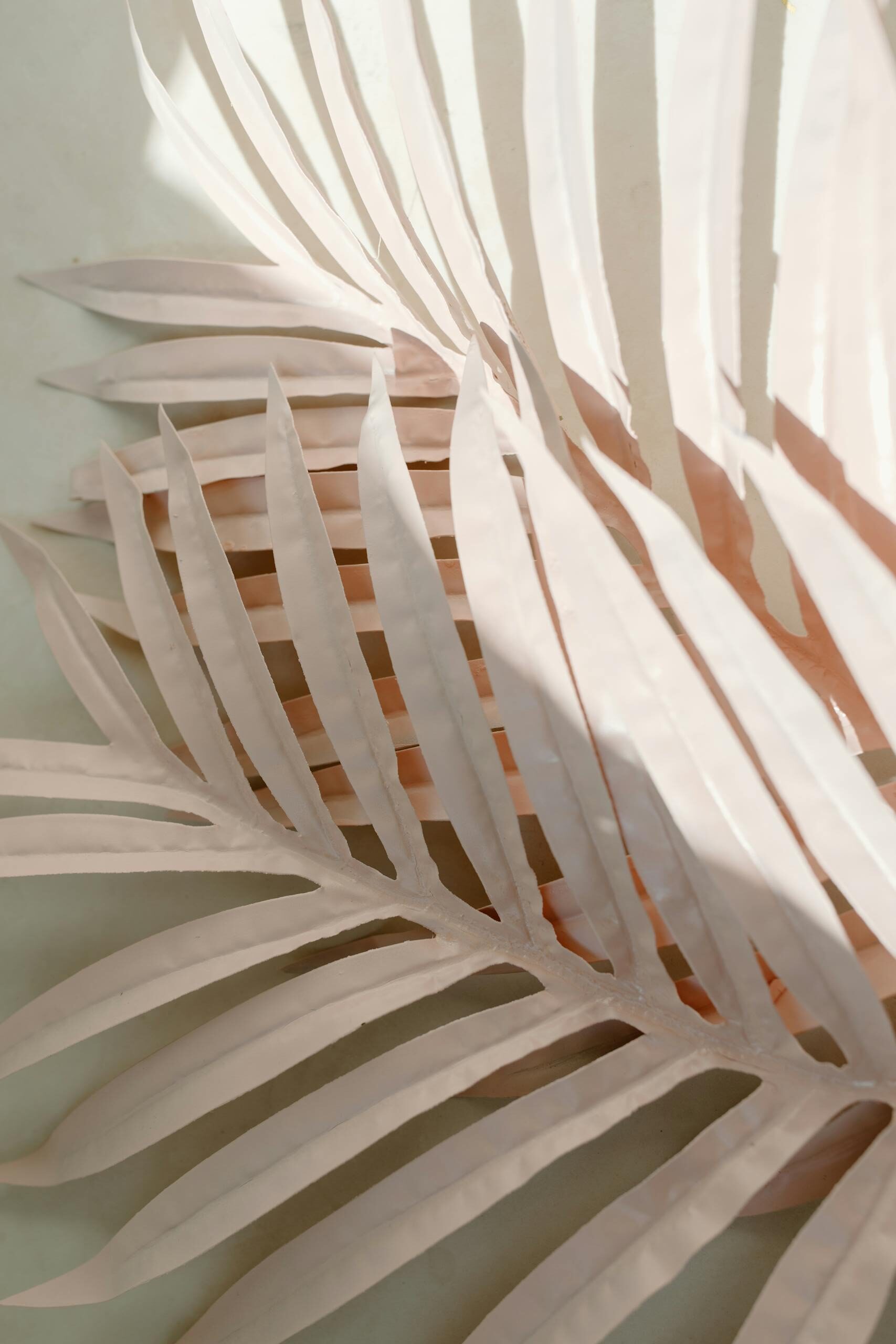 Close-up of tropical palm leaves casting gentle shadows in soft sunlight, creating an artistic and minimalist vibe.